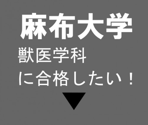 麻布獣医.png