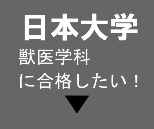 日大獣医.png