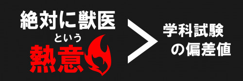 獣医は熱意.png