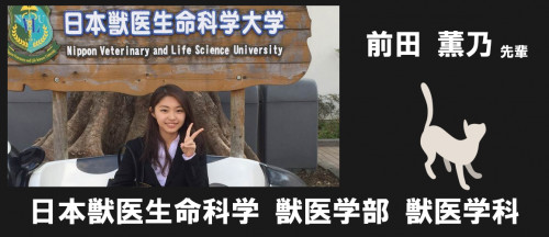 日本獣医生命科学.png