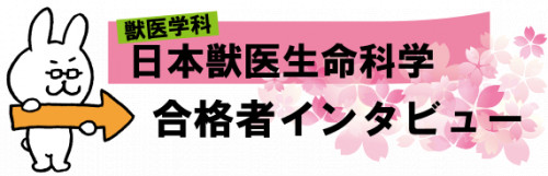 合格者　インタビュー.png