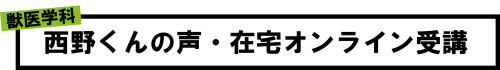 合格者の声.png