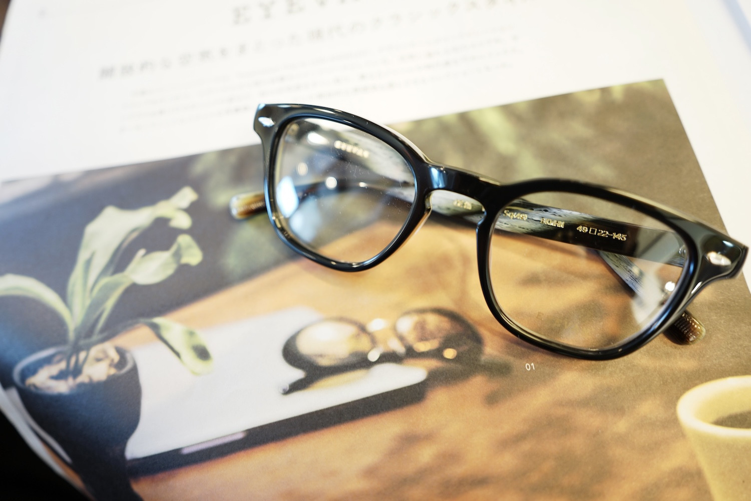 EYEVAN（アイヴァン）／Webb SQ（49）　新色