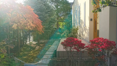 DSC_2245.JPG