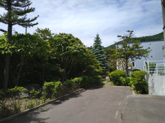 DSC_1143.JPG