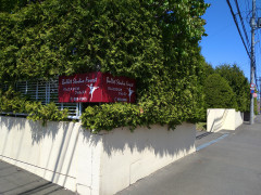 DSC_1091.JPG