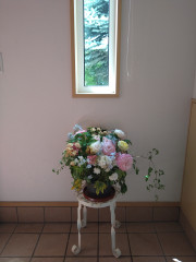 DSC_1168.JPG