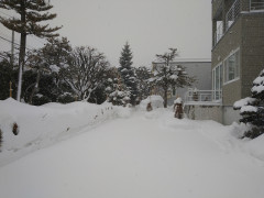 DSC_1702.JPG