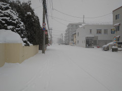 DSC_1703.JPG