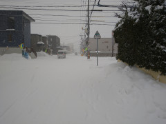 DSC_1704.JPG