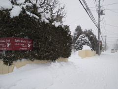 DSC_1706.JPG