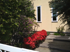 DSC_1987.JPG