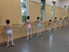 PXL_20250508_081326633.jpg