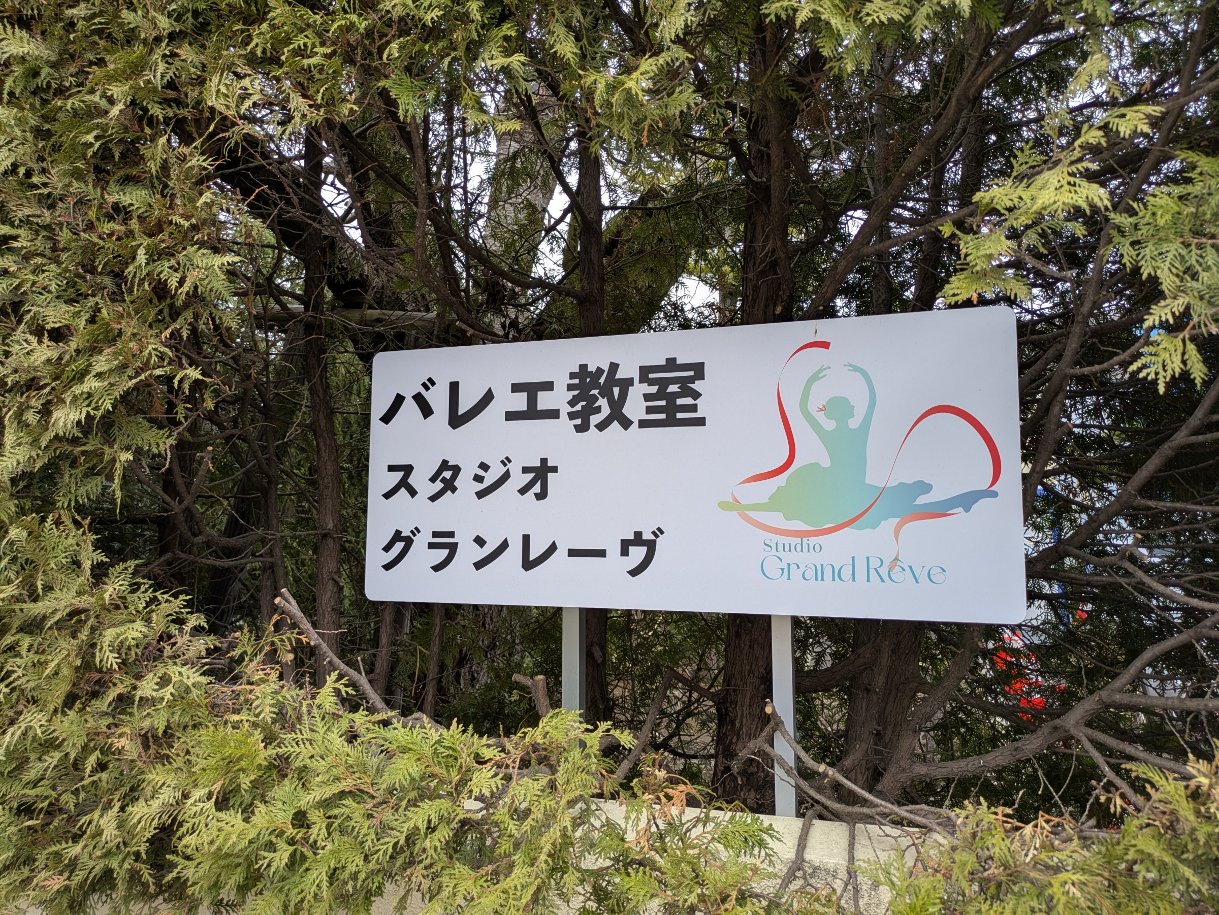 札幌市のバレエスクール　スタジオグランレーヴ