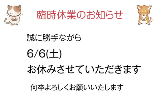 6/6(土)臨時休業させていただきます