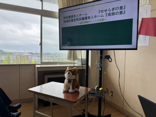 IMG_9177.jpeg