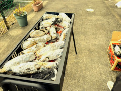 IMG_9643（修正）.jpeg