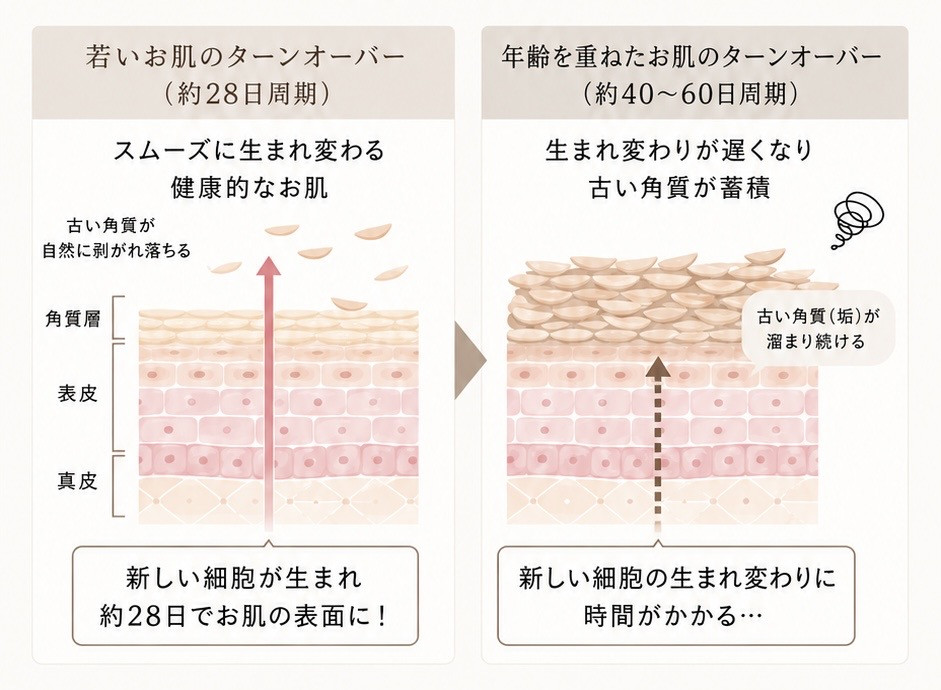 5F09D72D-74C1-4CBC-98D4-C55AE5C9C5CC.jpeg