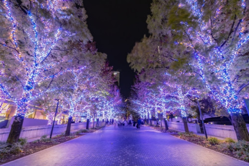 12月の診療時間のお知らせ