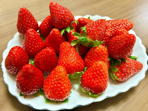 2月の診療時間のお知らせ