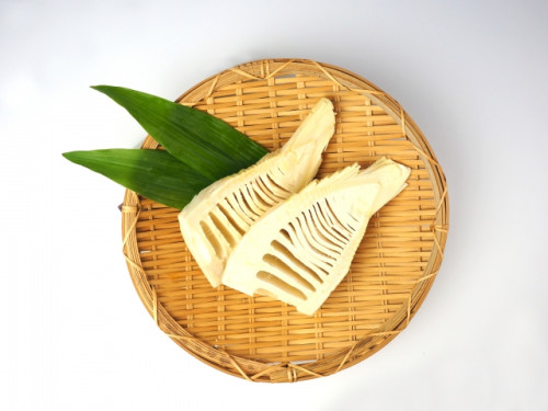 4月の診療時間のお知らせ 