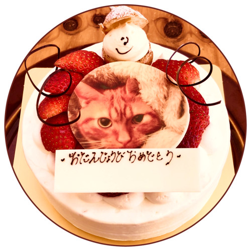 写真ケーキ3.png