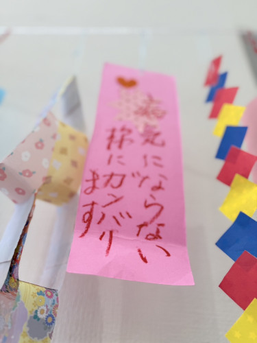 S__120102975_0.jpg