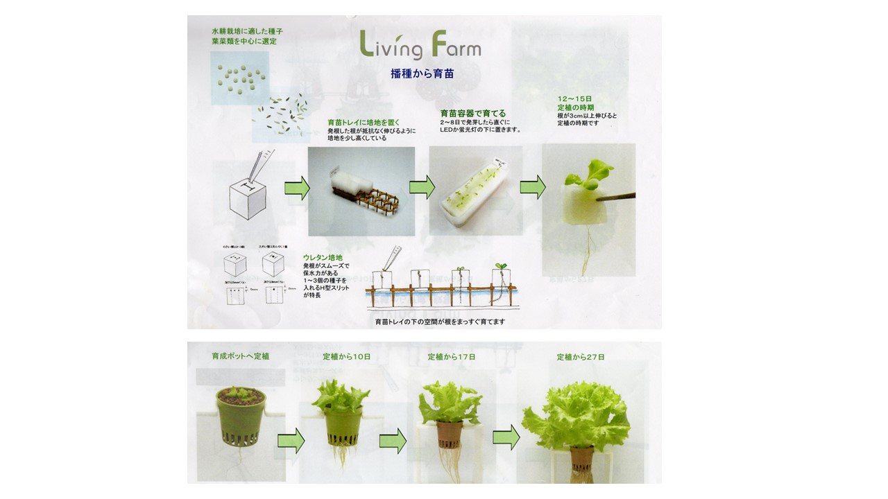 水耕栽培体験教室 植物工場げんちゃんファクトリー