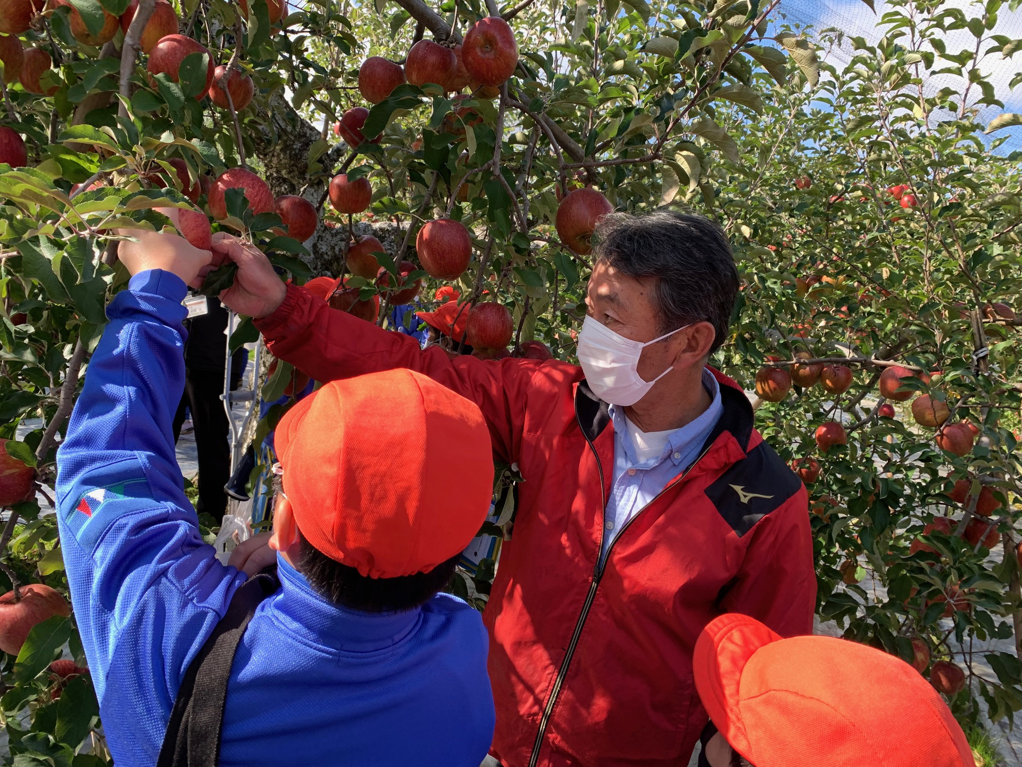 【特集リポート】逢隈小学校３年生　りんご農家の見学