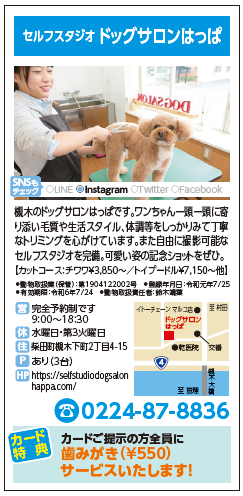 ドッグサロンはっぱ.png