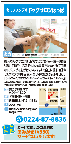 ドッグサロンはっぱ.png
