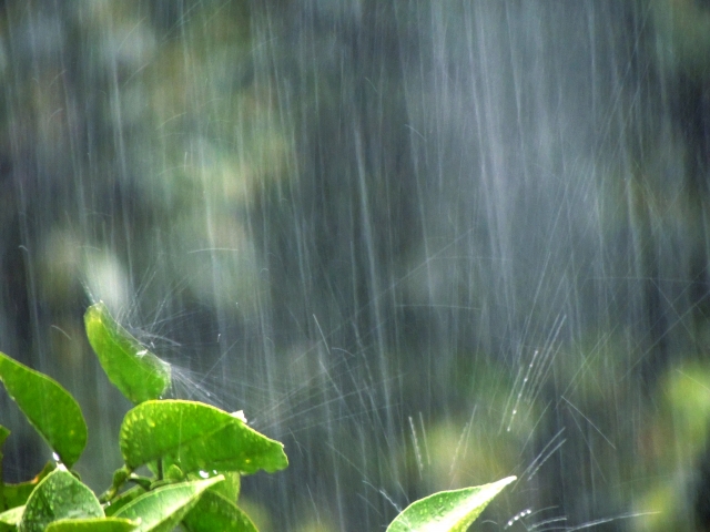 大雨.jpg