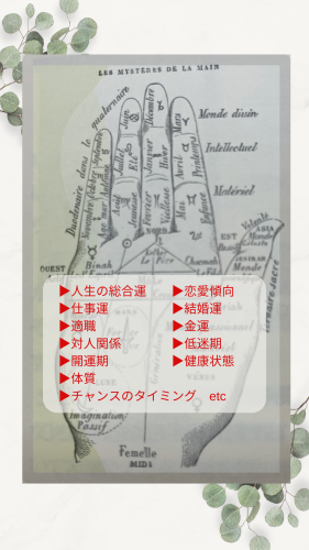 グリーン　ホワイト　ナチュラル　背景　インスタグラムストーリー 2.png