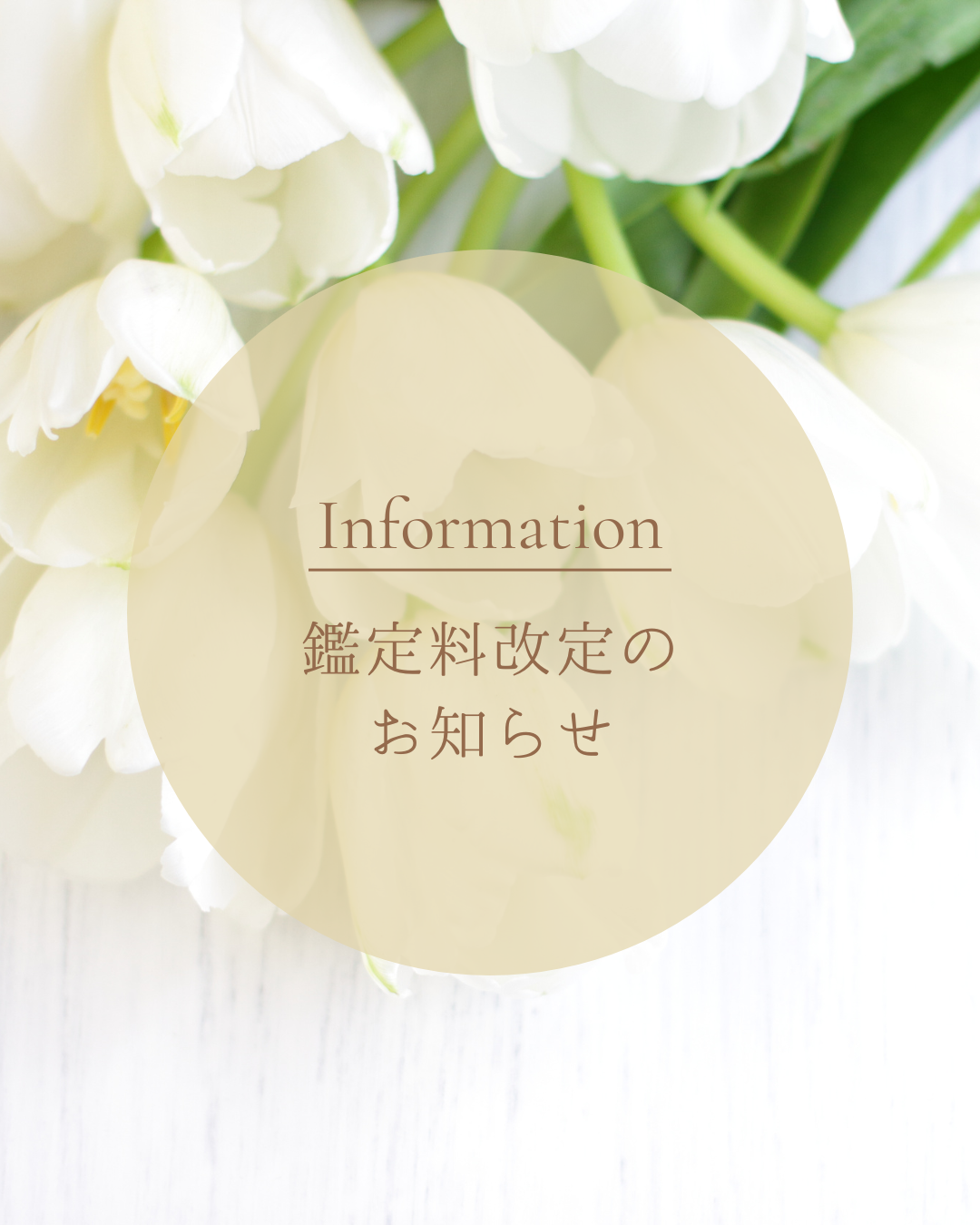 鑑定料改定のお知らせ