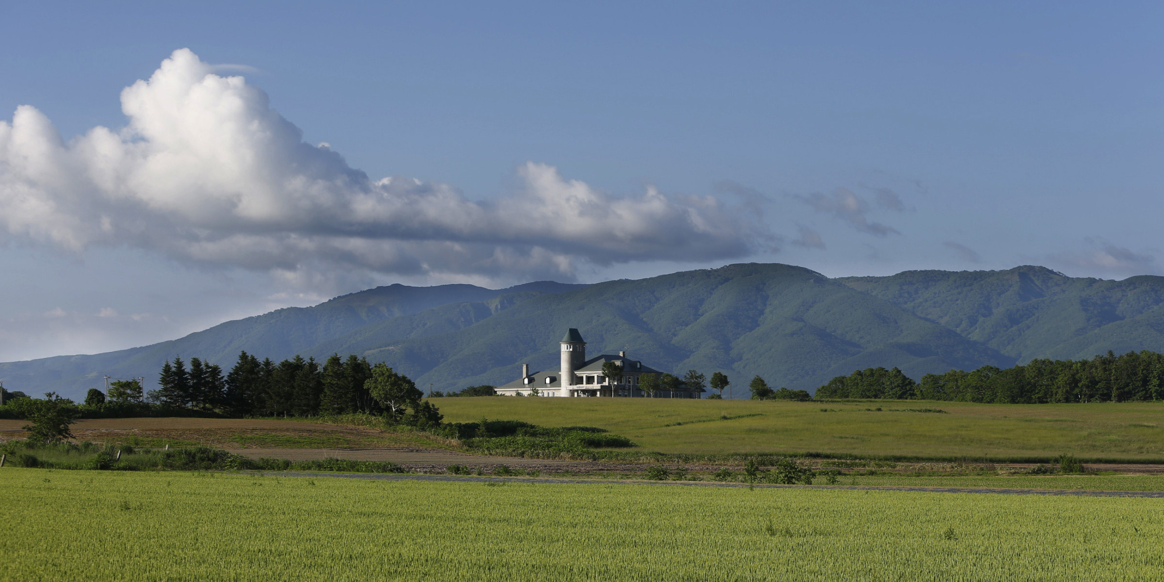 トワ・ヴェール - toit vert -