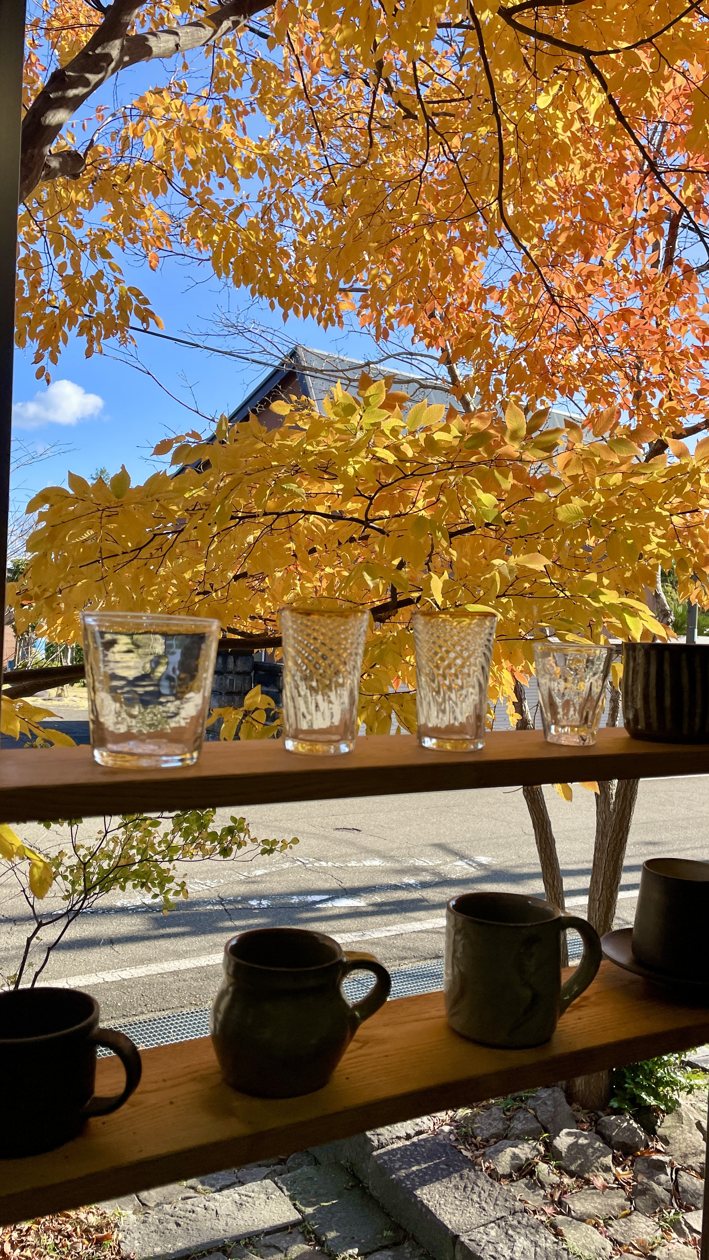 12月のお知らせ