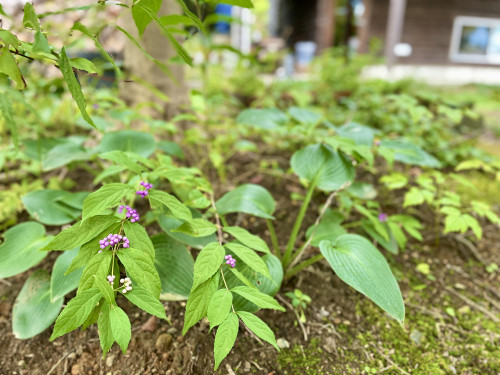 10月のお知らせ