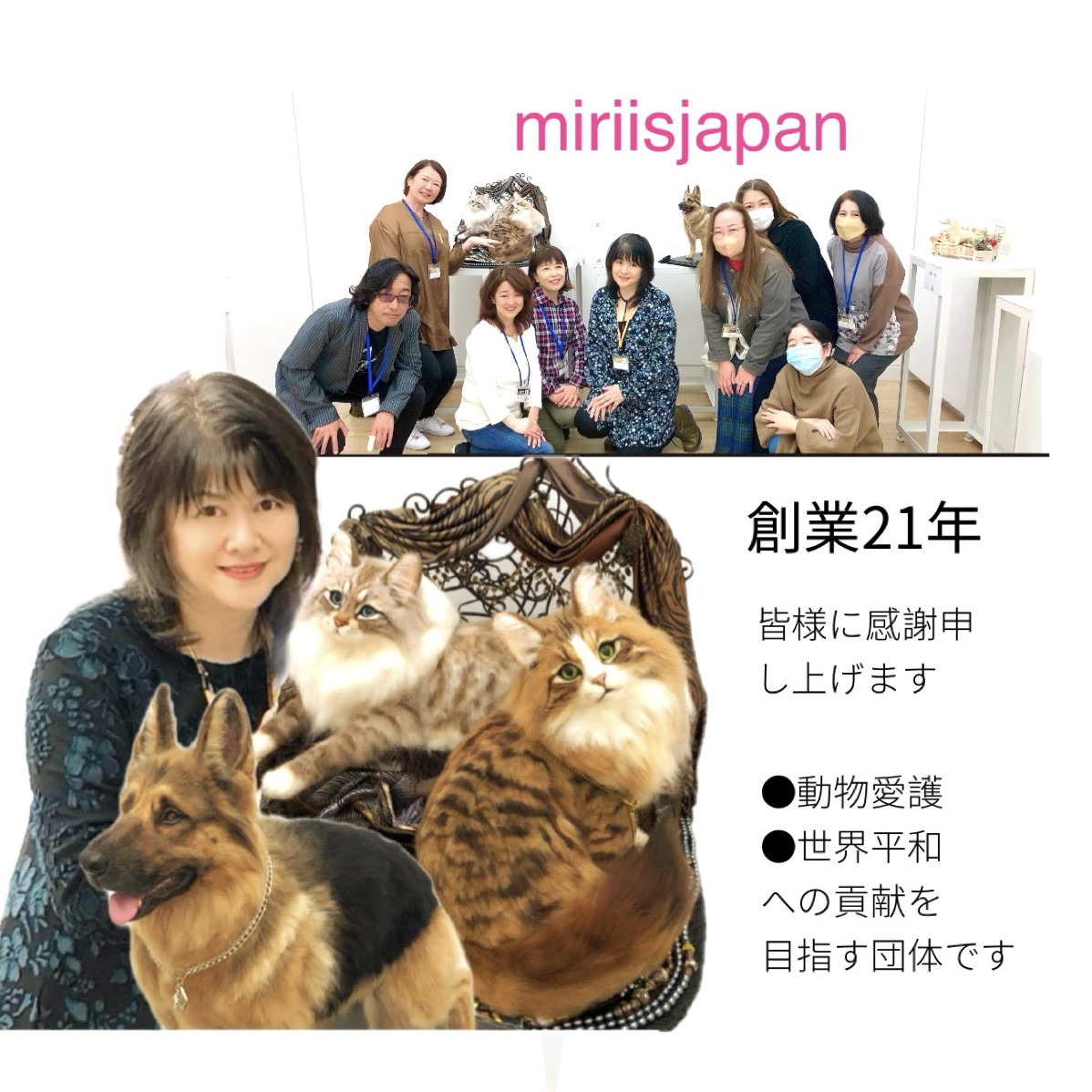 一般社団法人miriisjapan羊毛フェルト協会