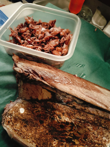 春の食材　始まっています！