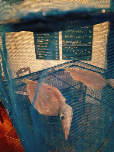 店内干ししてます