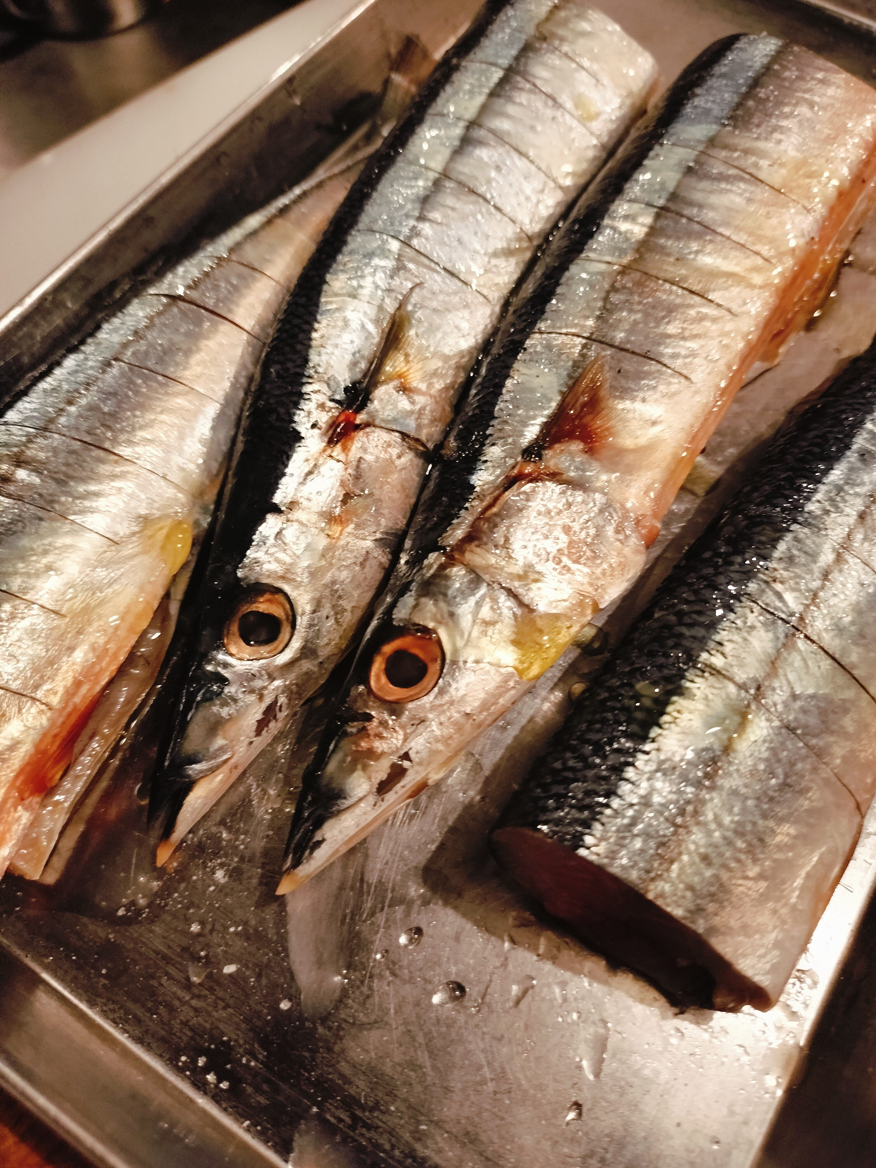 初物　サンマ
