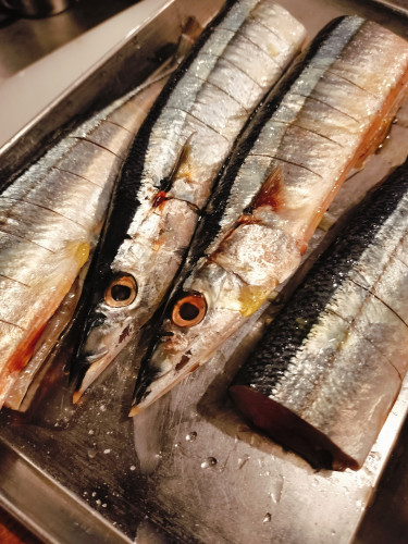 初物　サンマ