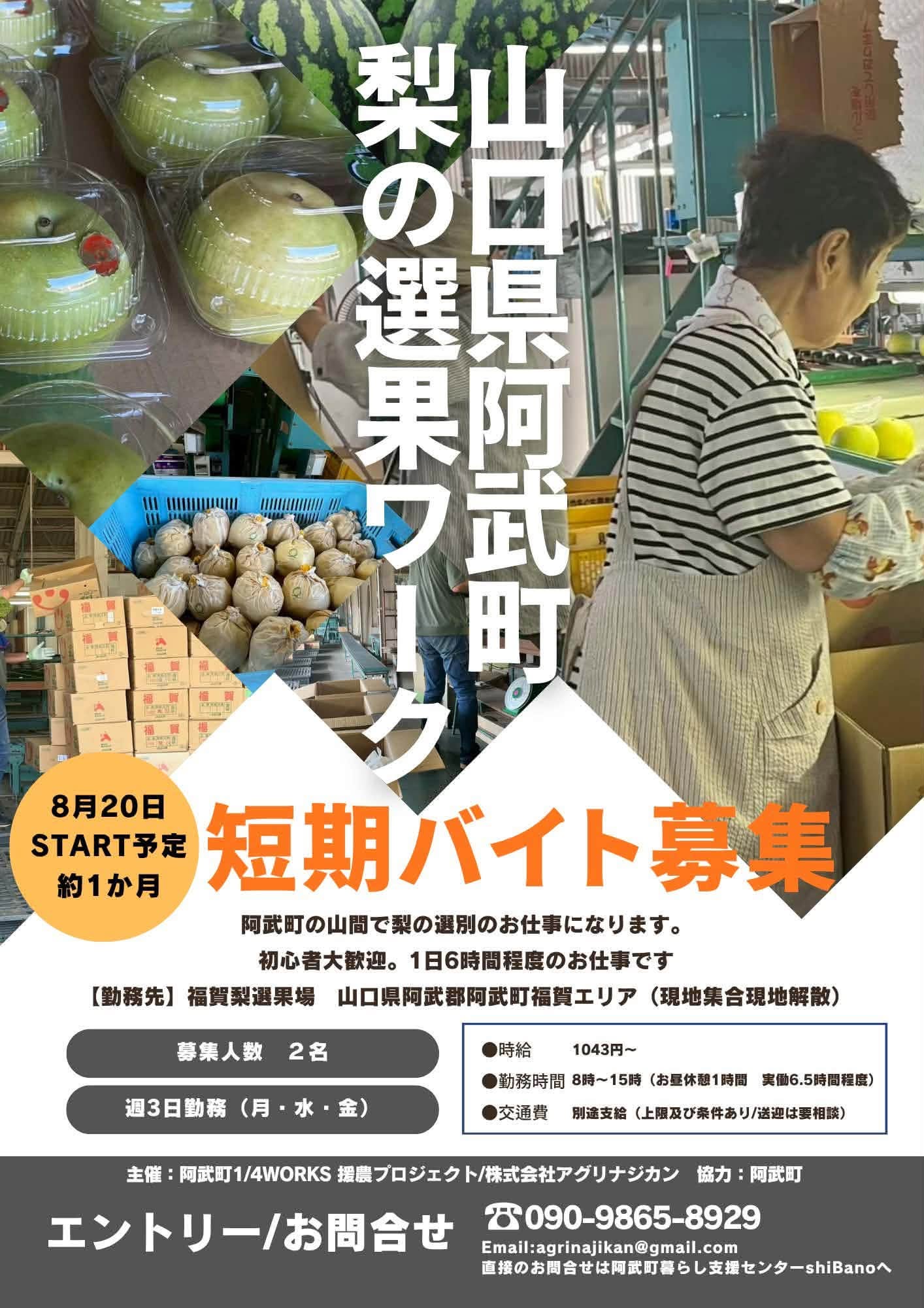 なし.jpeg