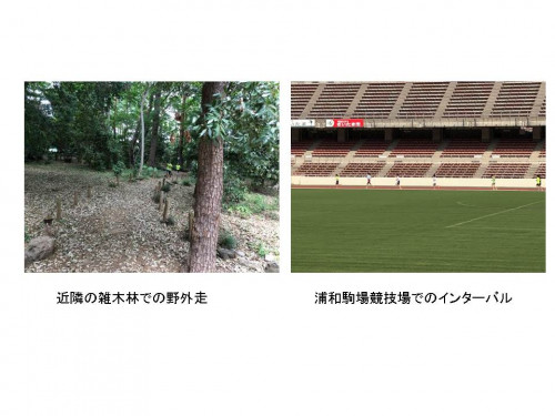 浦和駒場スタジアム.jpg