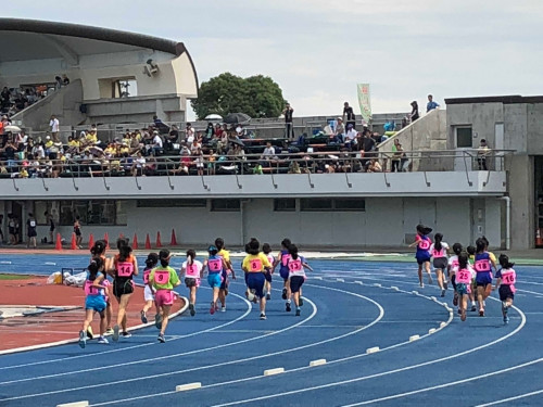 1000m.jpg