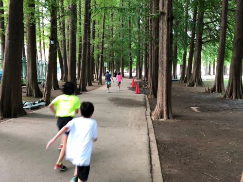 8月1日別所沼.jpg