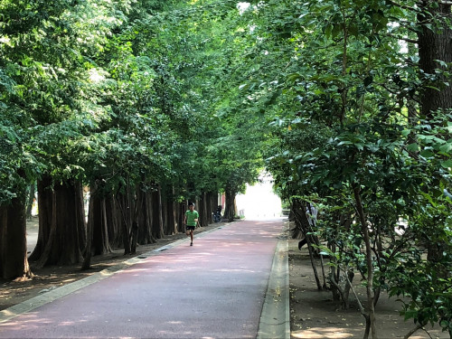 8月1日別所沼２.jpg