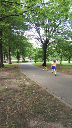 8月7日舎人公園３b.jpg