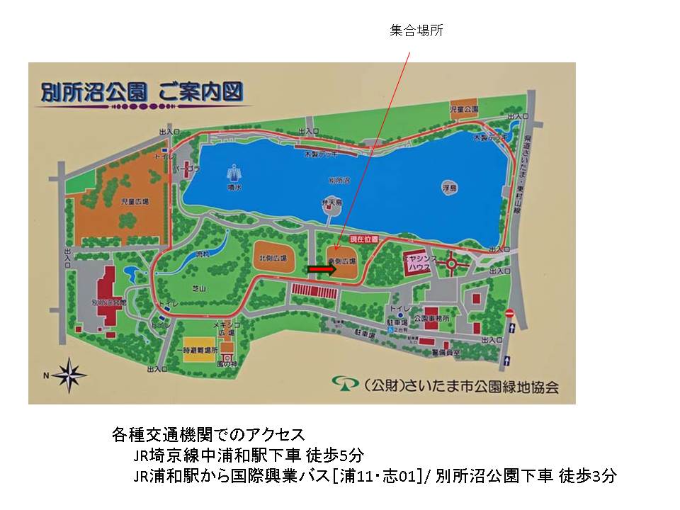 別所沼公園（）集合場所.jpg