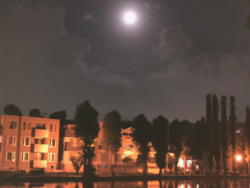 月夜.jpg
